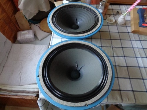 Dynacord fidelity musiker - dynacord, hi-fidelity