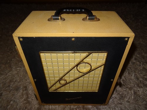 Dynacord kv10 als gitarrenbox - dynacord,